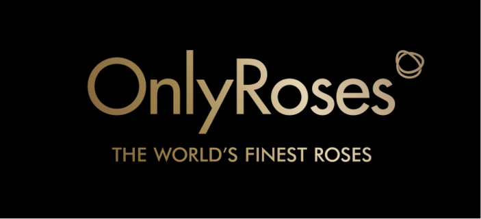 OnlyRoses