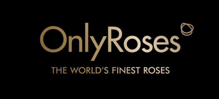 OnlyRoses